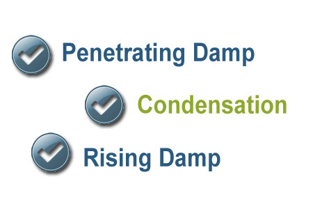 Rising Damp Repars